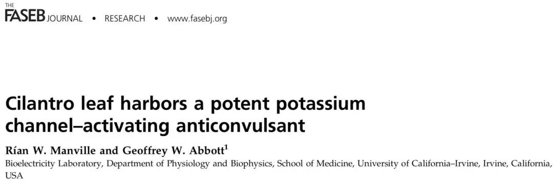 香菜可以治疗癫痫吗,香菜治疗癫痫病效果