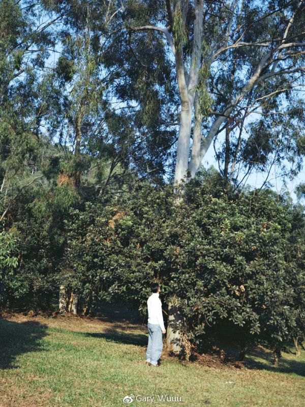 胶片机推荐平价,胶片机常用的胶卷推荐