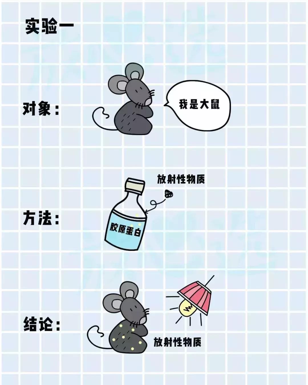 喝的胶原蛋白哪款最有效,口服胶原蛋白好用吗