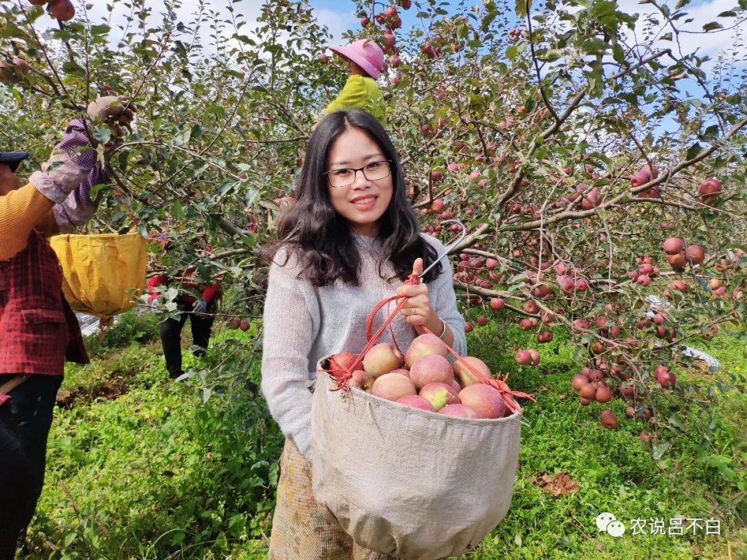 苹果怎么防止边缘误触,苹果如何防止碰伤