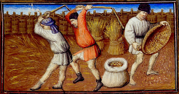 中世纪欧洲农民吃什么?蔬菜奶酪黑面包,偶尔来点鱼和肉