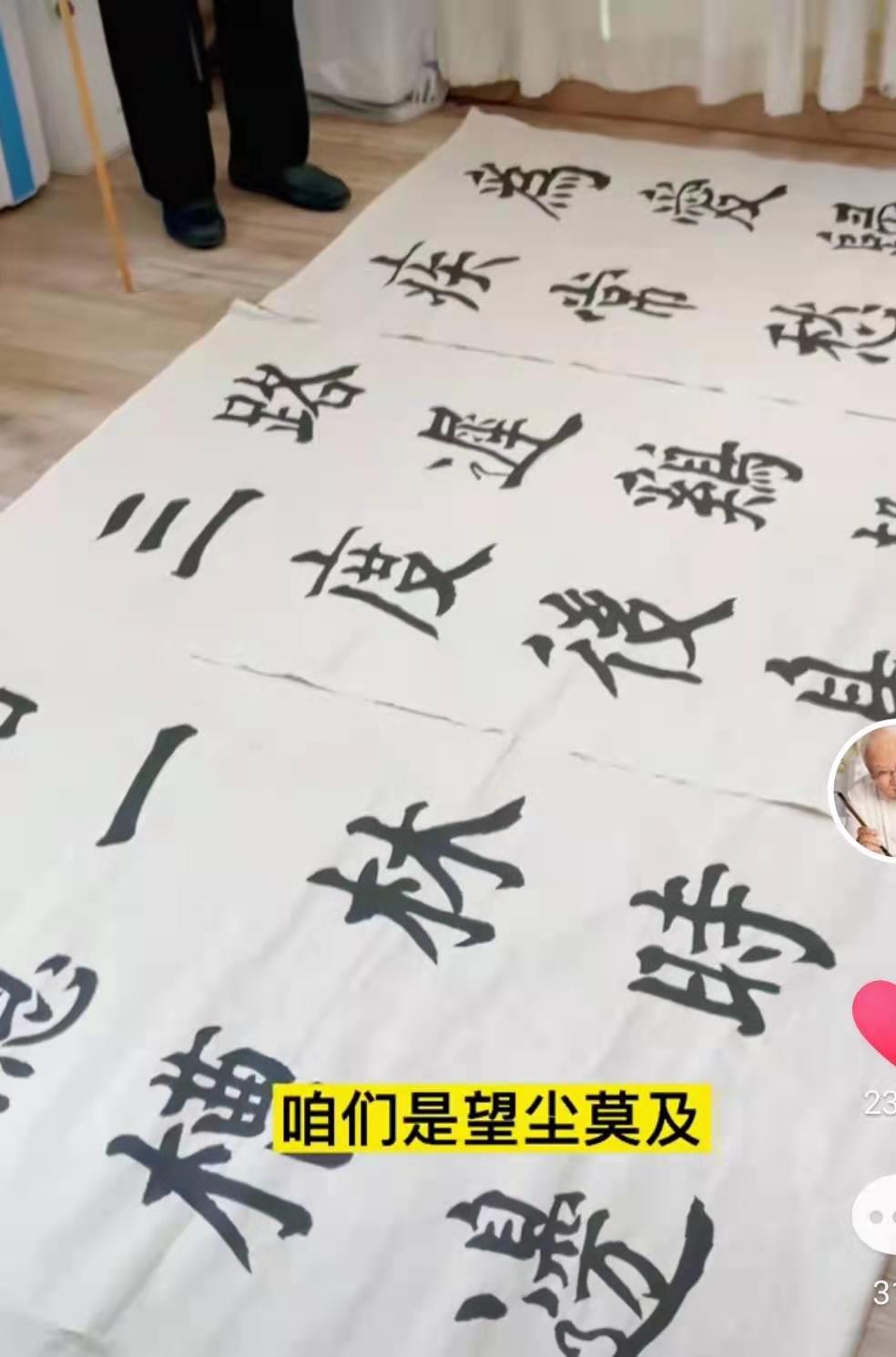 杨再春80年代书法作品欣赏,书法大师作品欣赏杨再春