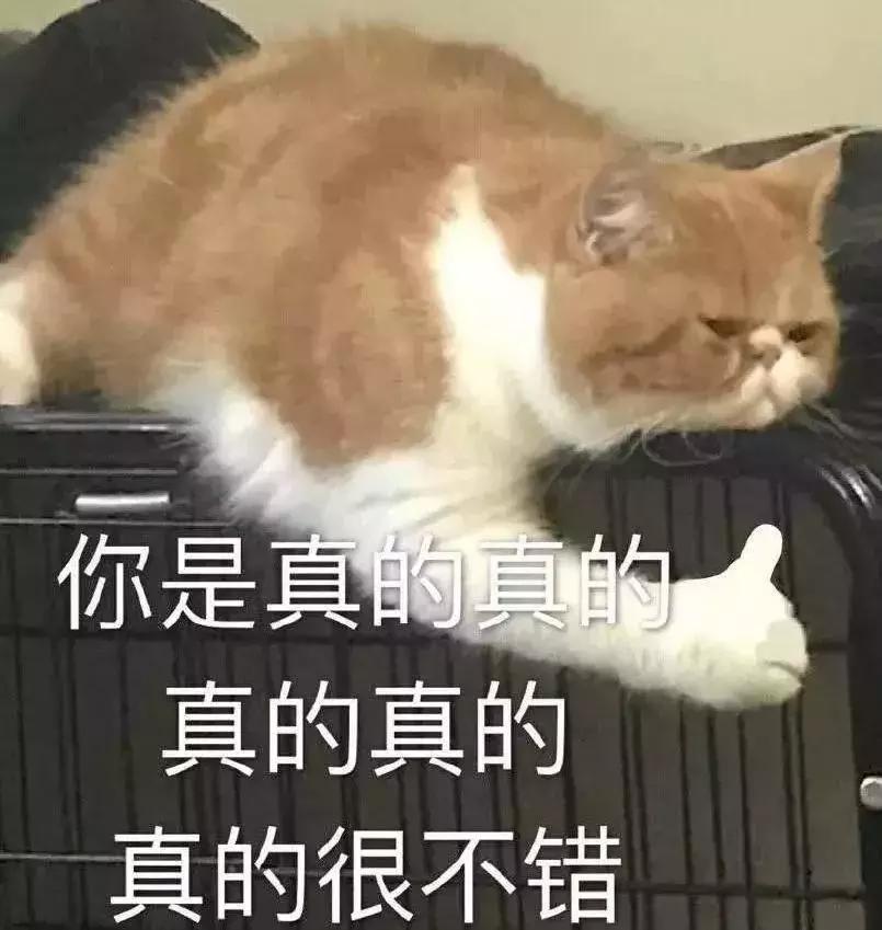 被罚吹了3瓶啤酒，因为我的创业复盘没做好