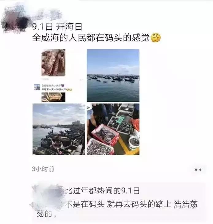 威海海鲜开海期,威海开海海鲜便宜还是贵