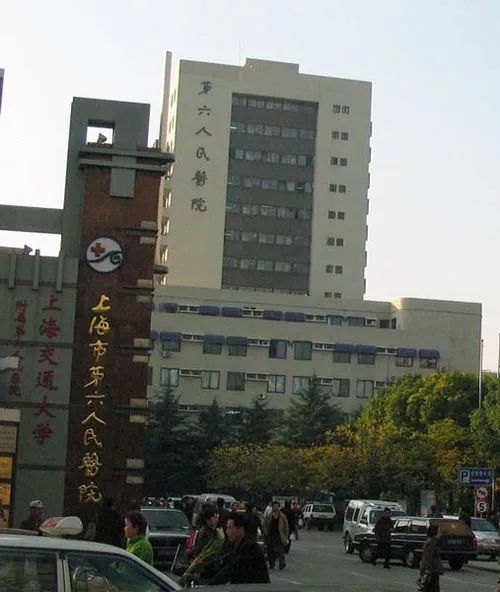 「六院故事」跟*党**走,办实事!上海市第六人民医院开创骨质疏松防治新局面