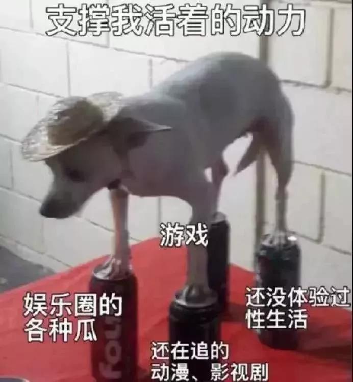 假面骑士骂人表情包,表情包怼人不失礼貌