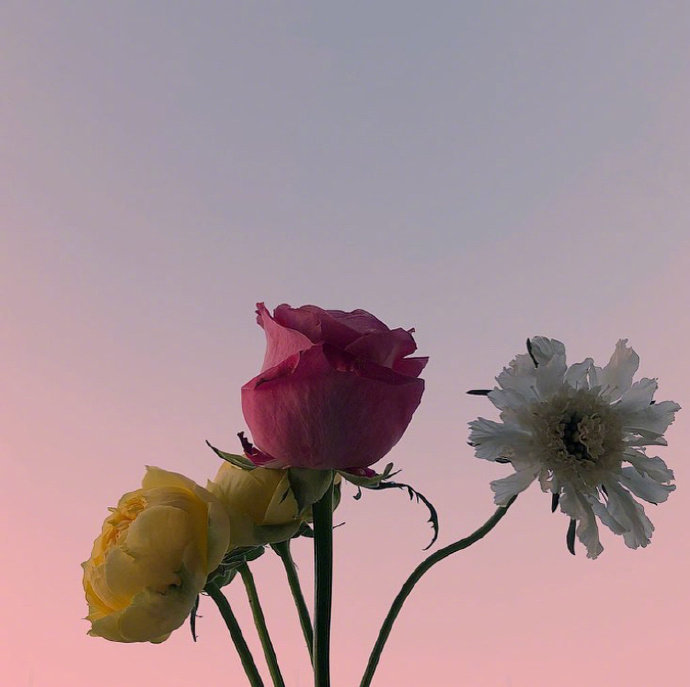 多年后若能重逢别来无恙,如果久别能重逢那该有多好