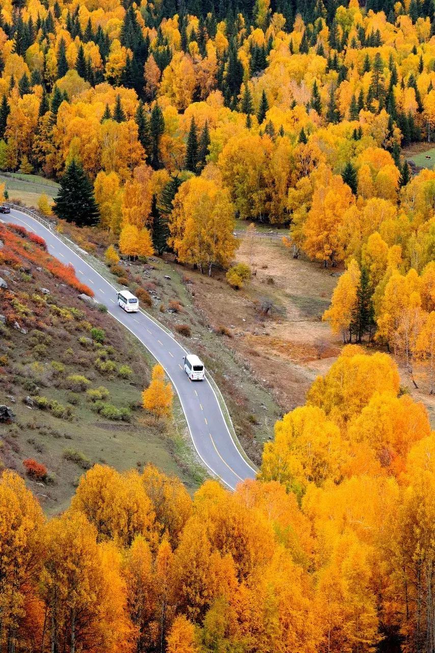 新疆的天堂在哪,新疆人间天堂在哪