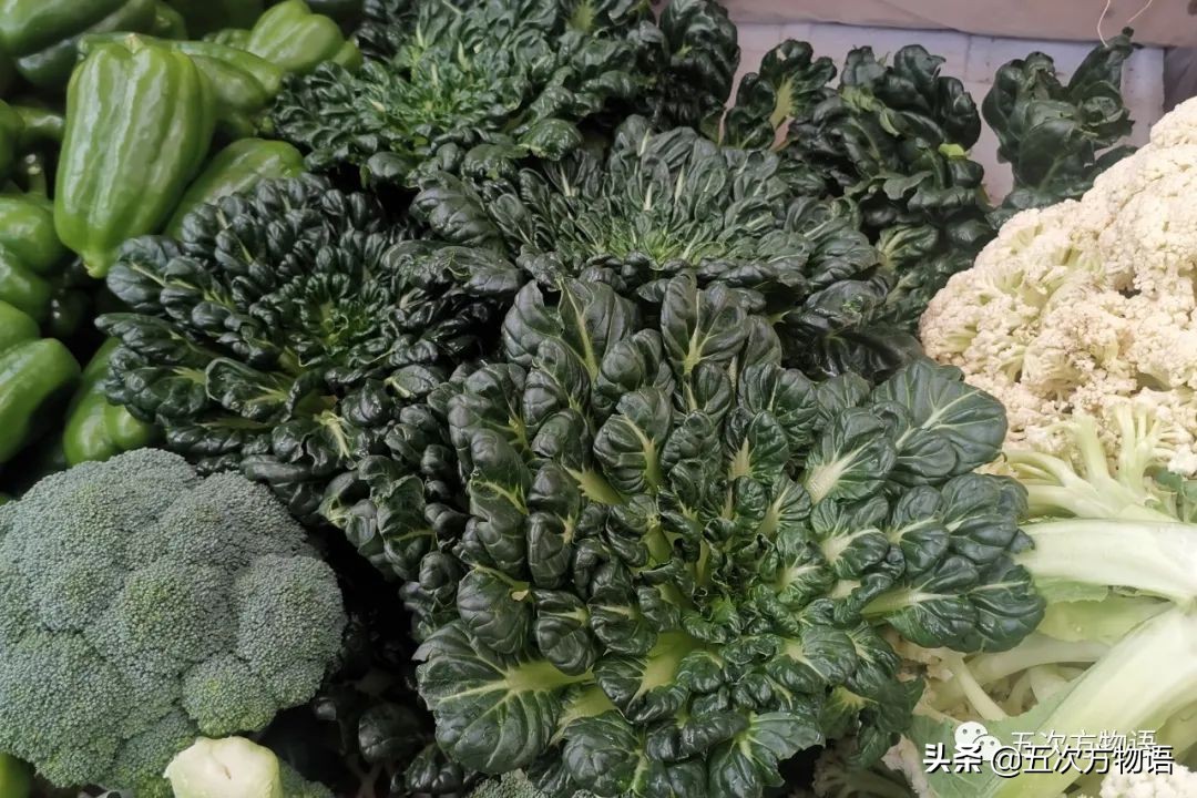 漫谈起源于中国的蔬菜