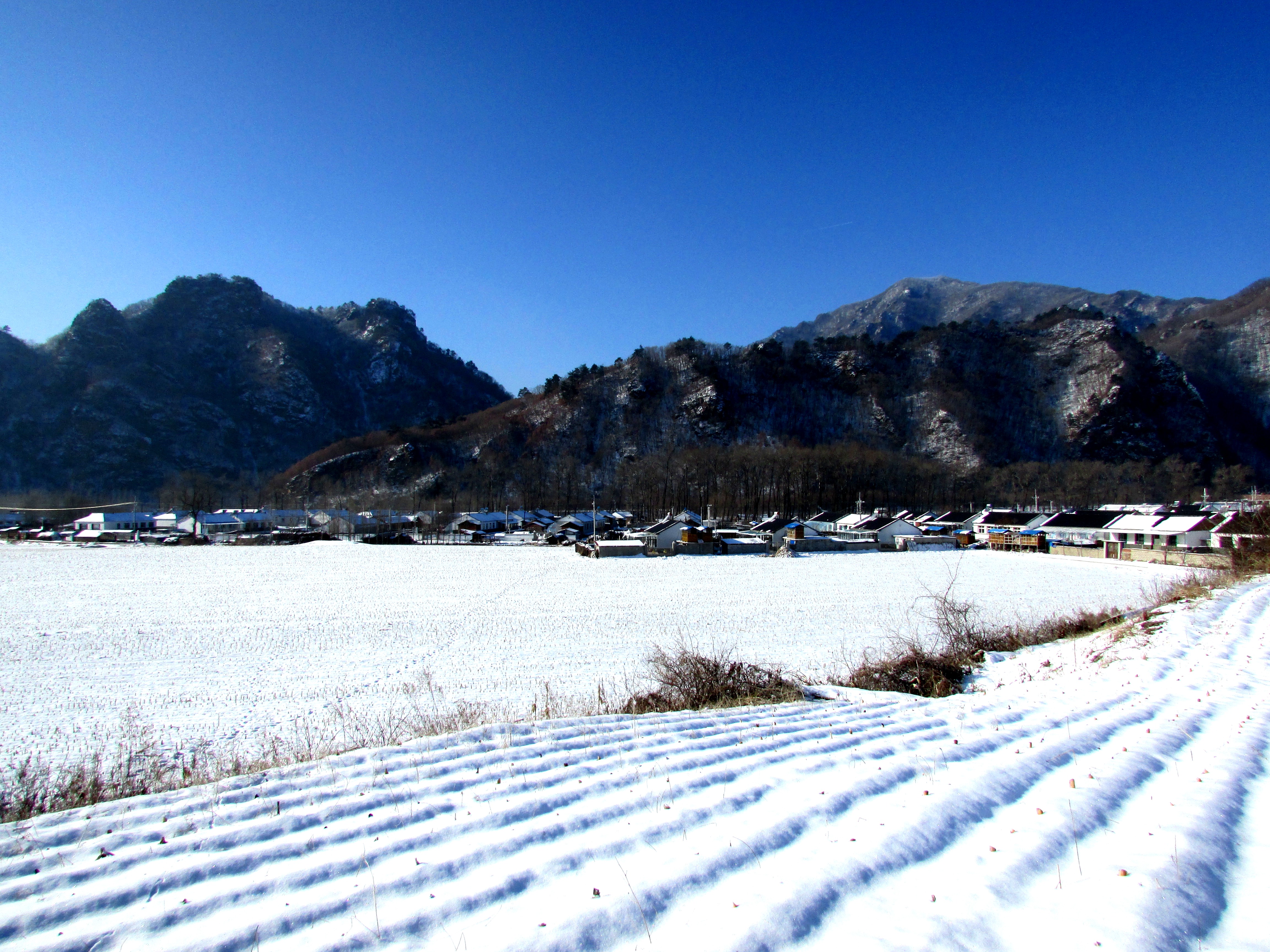 本溪湖里村冬季景色,本溪湖里村景色视频