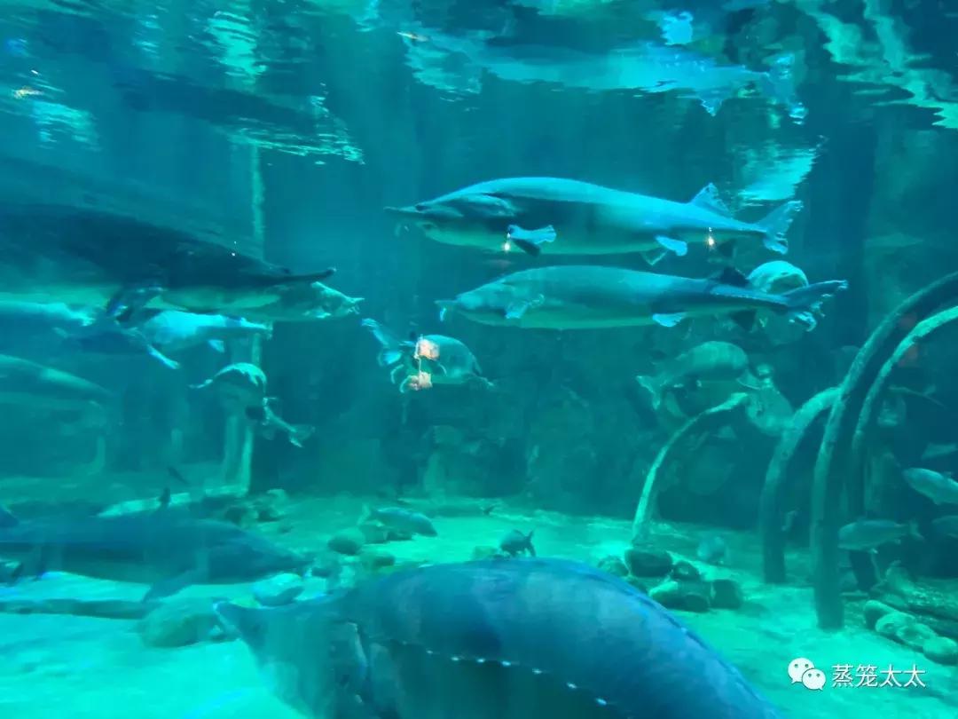 买来的橡皮泥有毒吗,外面买的橡皮泥