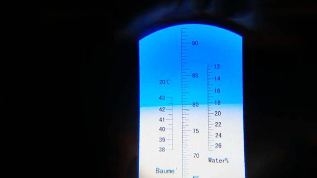 一只蜜蜂每天要多少蜜,一只蜜蜂一天可以采多少蜂蜜