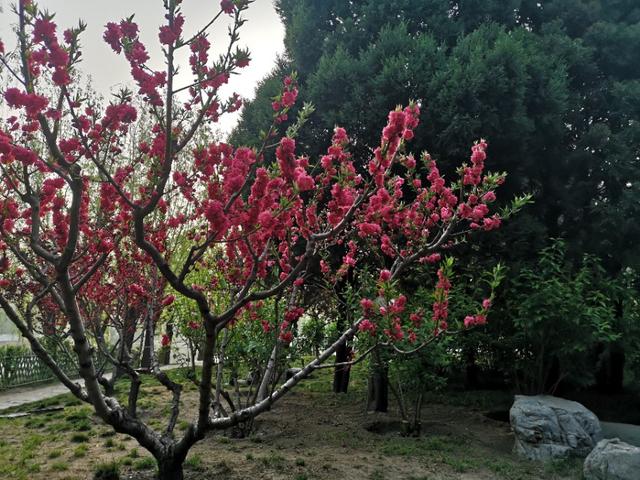 英语单词美句经典,英文美句带翻译励志