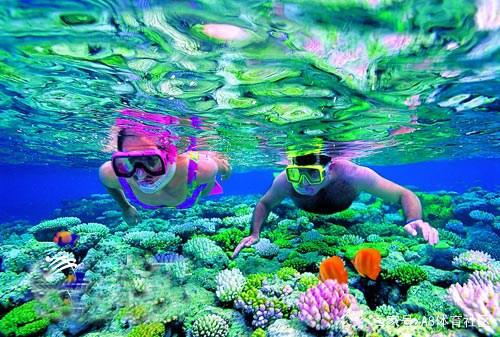 澳大利亚亚洲杯比赛,亚洲杯澳大利亚足球冠军