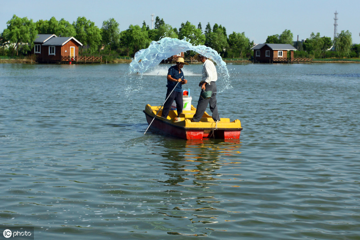 养殖河蟹的条件和方法是什么,正确放苗是河蟹养殖成功的第一步