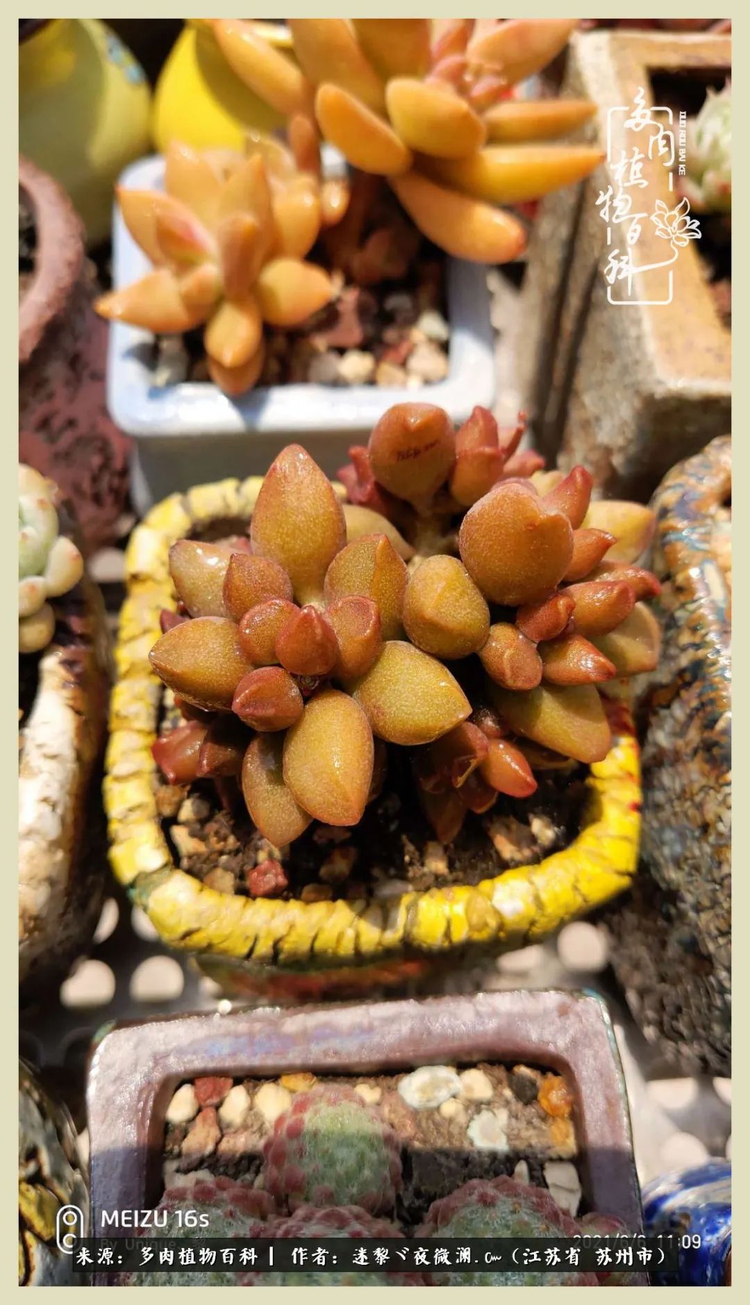 秋尽冬来岁月不居时节如流,岁月不居时节如流水