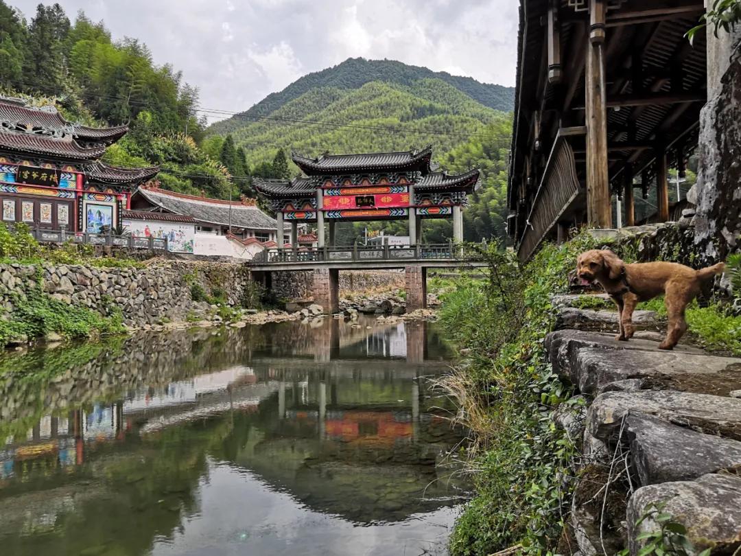 我要去旅行英文,我要去旅行完整版