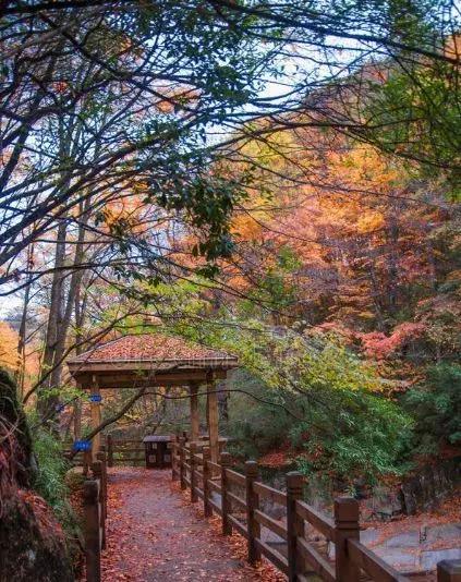 四川巴中为什么被誉为红军之乡,四川巴中出名吗