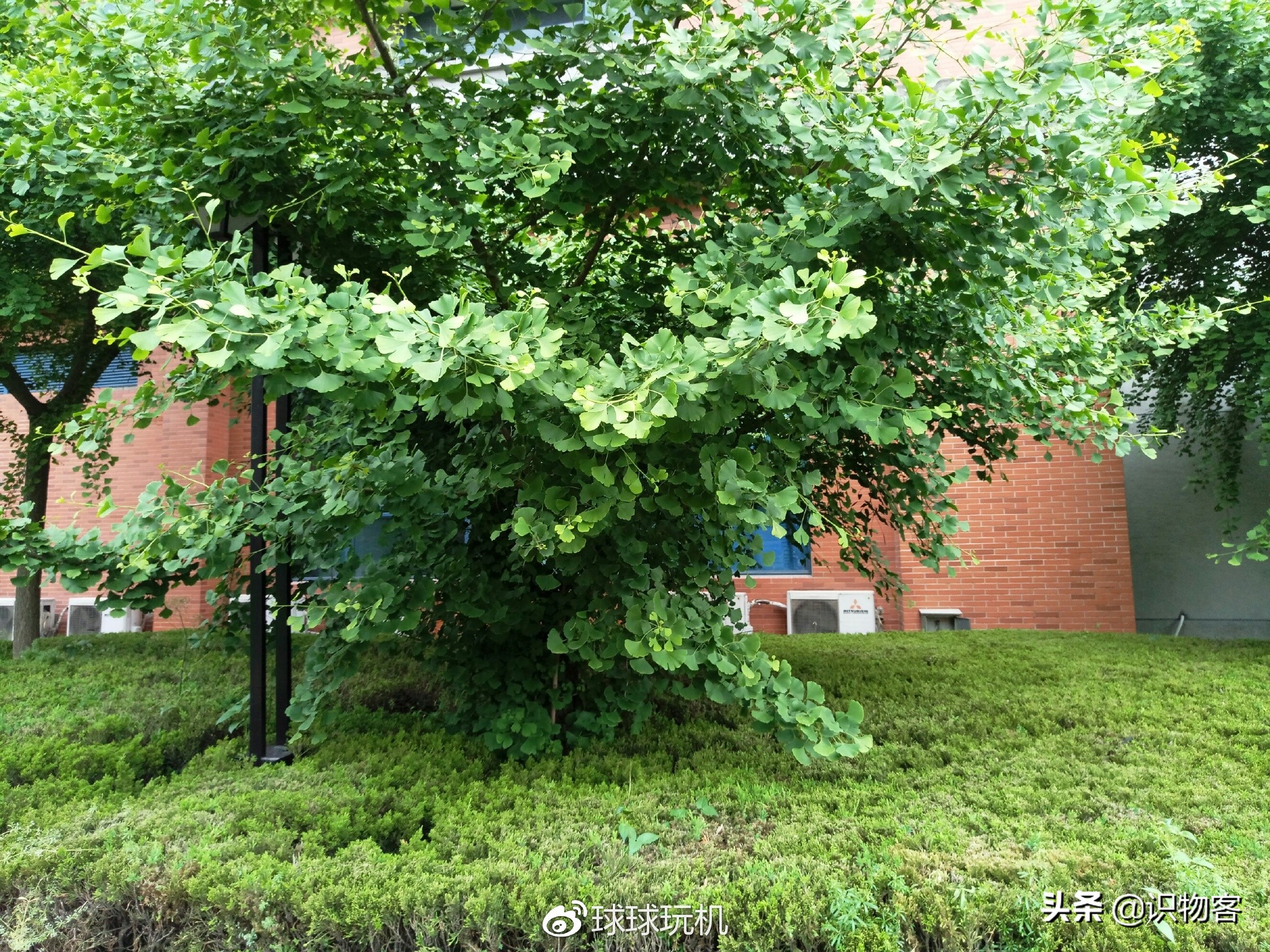 魅族pro6深度测评,魅族pro6评测