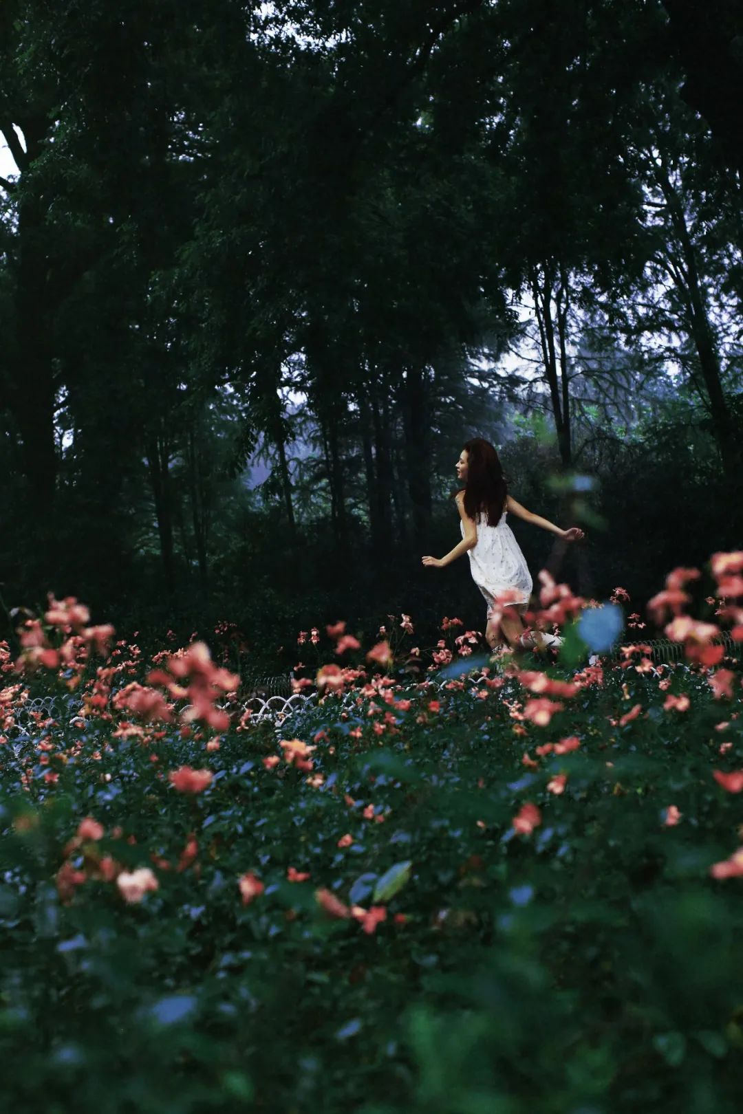 人气最高的女性写真,好看的女生写真推荐