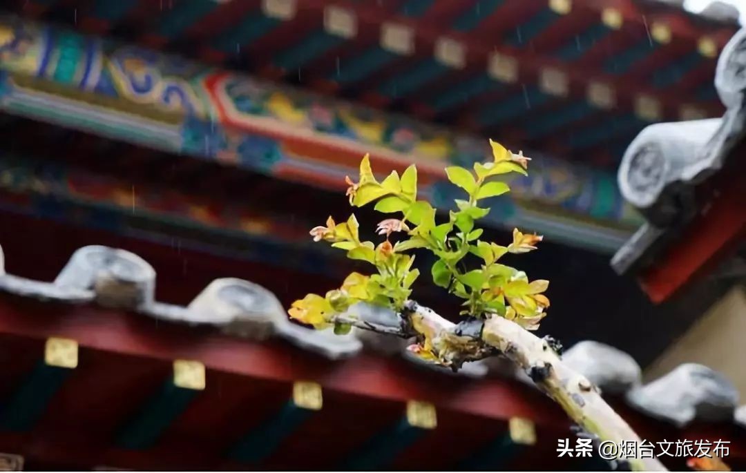 蓬莱的海边风景,蓬莱仙境的景色非常迷人