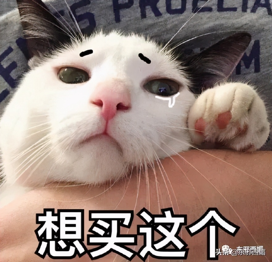 一顿天价饭局,天价饭局8个人吃掉40万