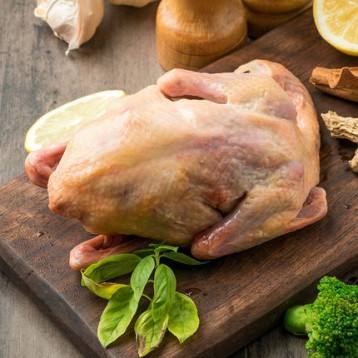 一鸽胜九鸡滋补营养,一鸽胜九鸡鸽子汤的功效都有哪些