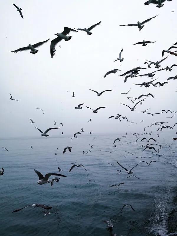 山东长岛自助游攻略,山东长岛游玩攻略视频