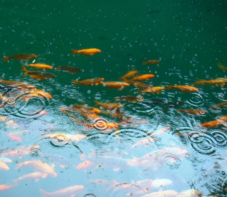 浙江弥勒佛风景区,浙江丽水一个被隐藏的仙境