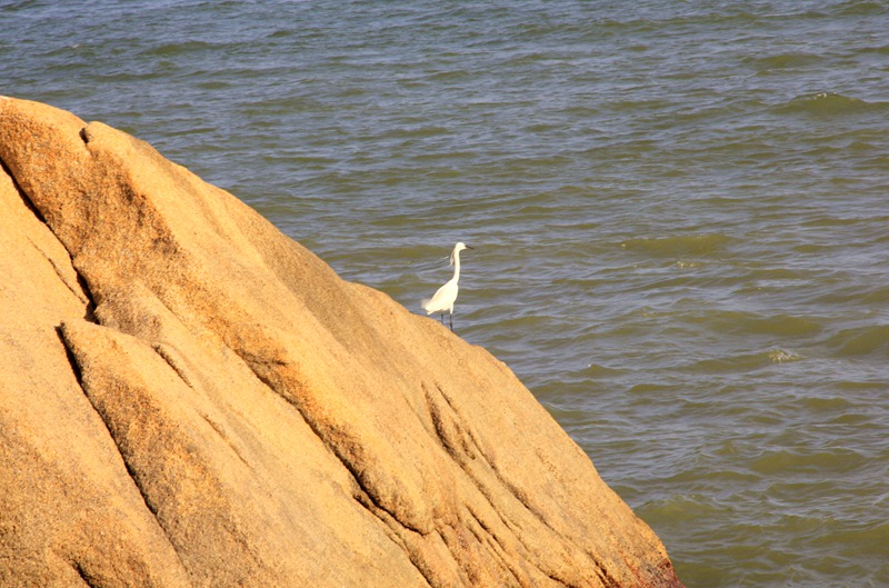 澳门3日美食游,澳门三日两夜美食