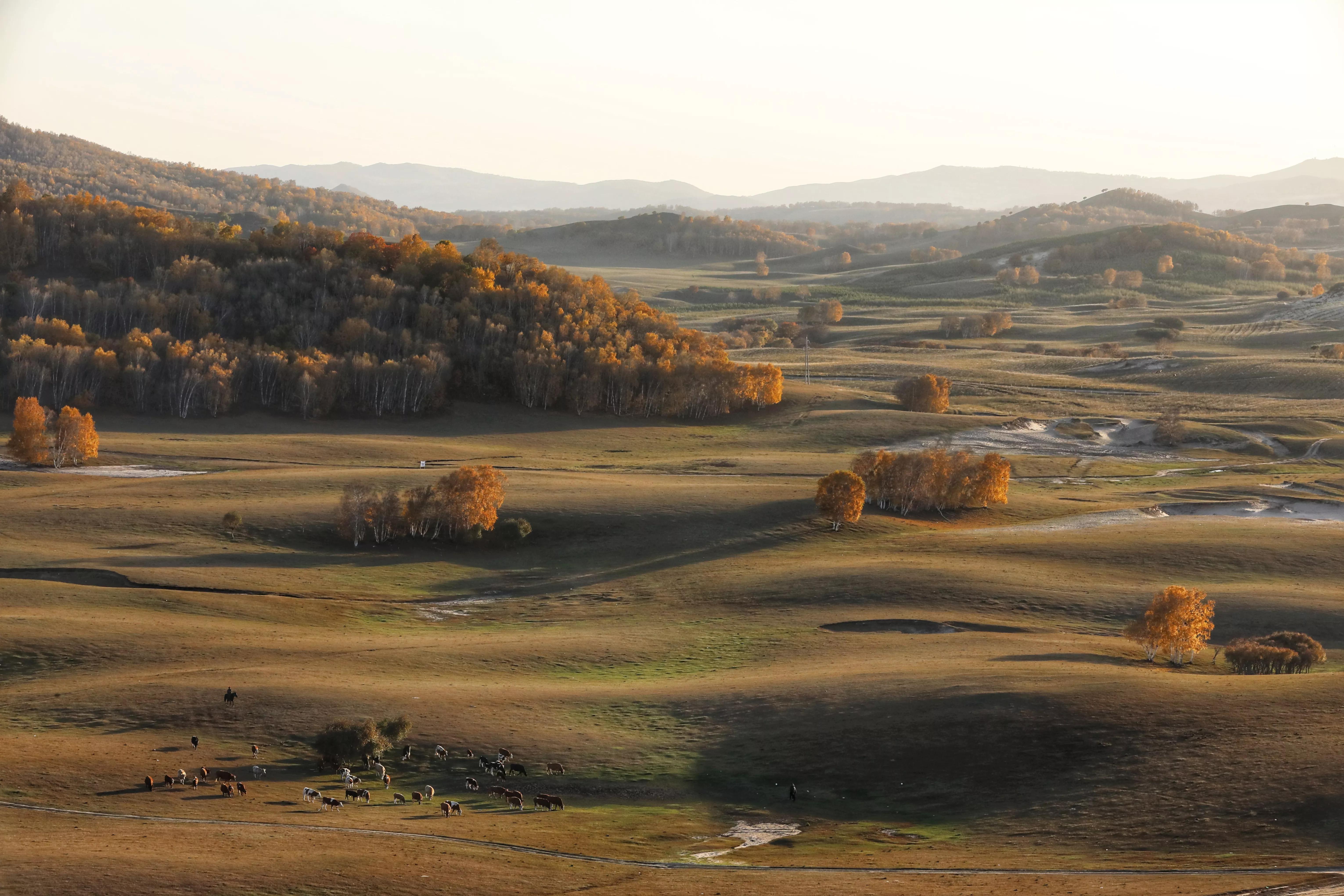 坝上秋色草原,坝上草原游记作文