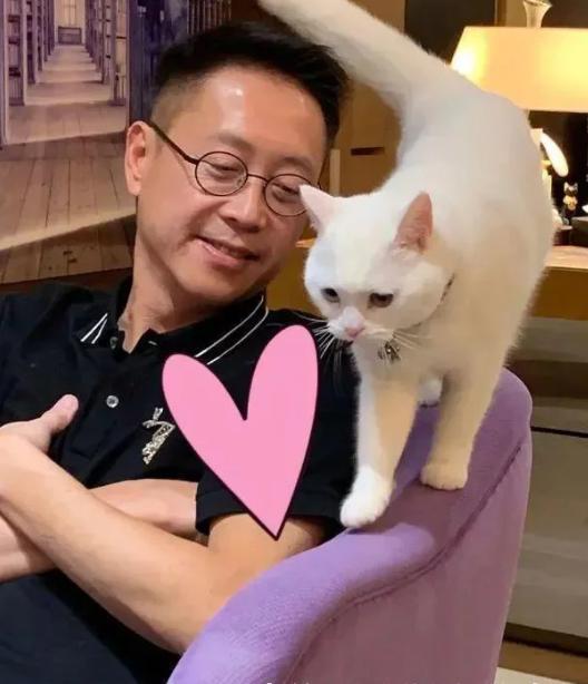 许晋亨娱乐故事,许晋亨情史