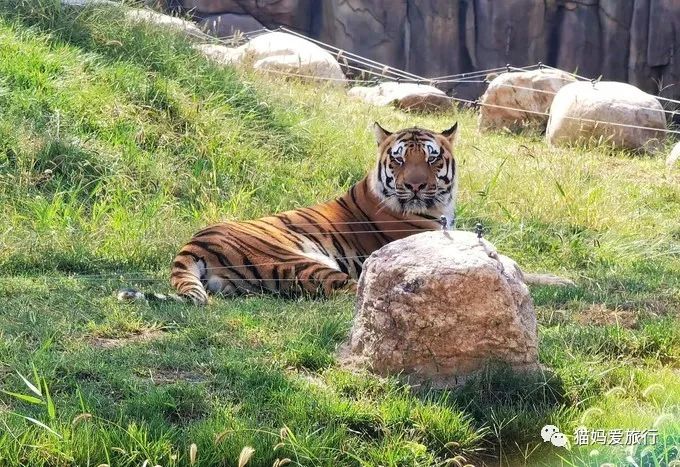 齐河附近带孩子自驾游景点,周边亲子游齐河