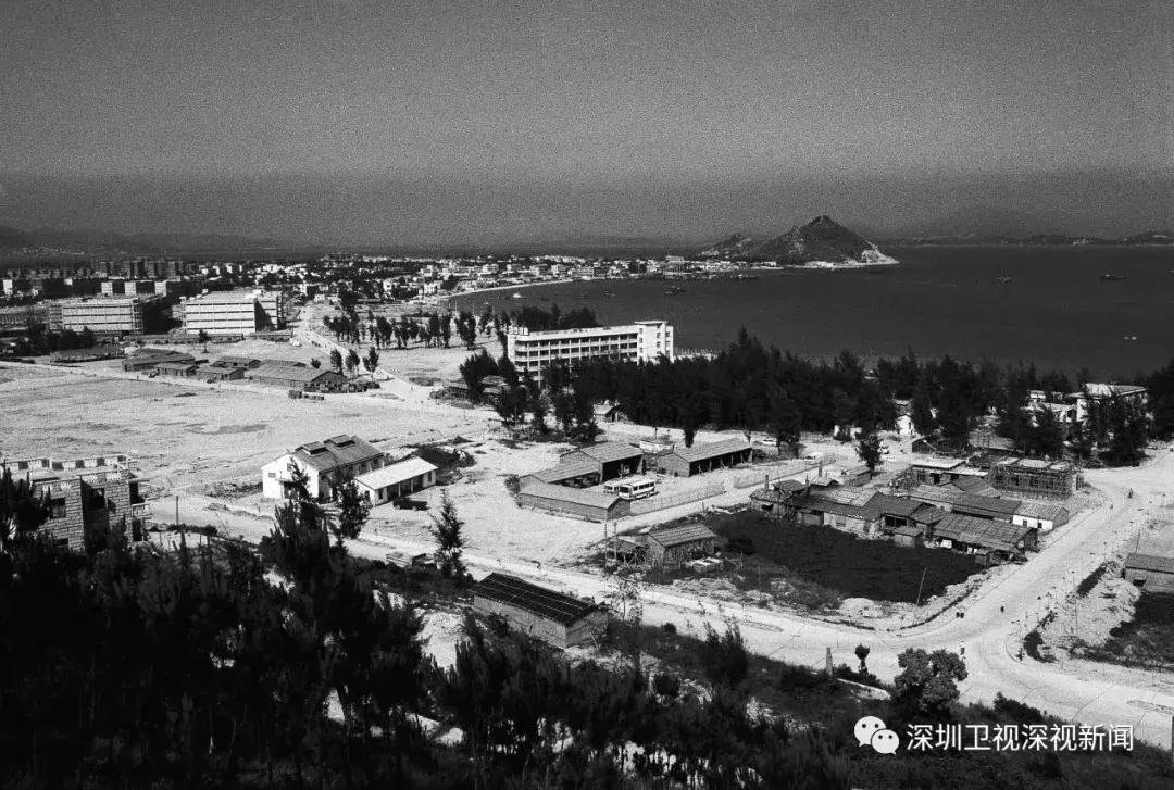蛇口工业区的发展历程是怎样的,蛇口工业区杀出一条血路