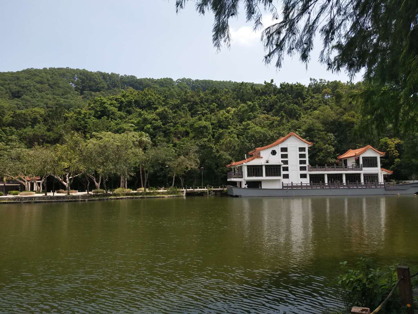 仙湖植物园游玩攻略在哪里看到,仙湖植物园游览