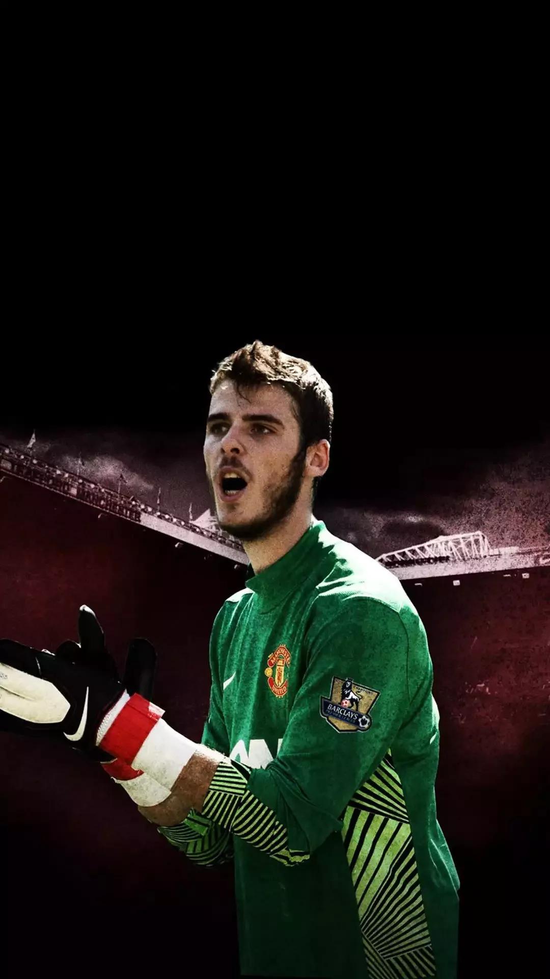 足球明星伊布的壁纸,足球明星图片壁纸