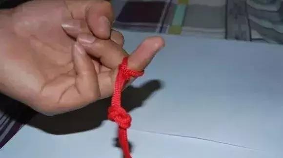 伯劳鸟饲养,没睁眼的伯劳怎样饲养