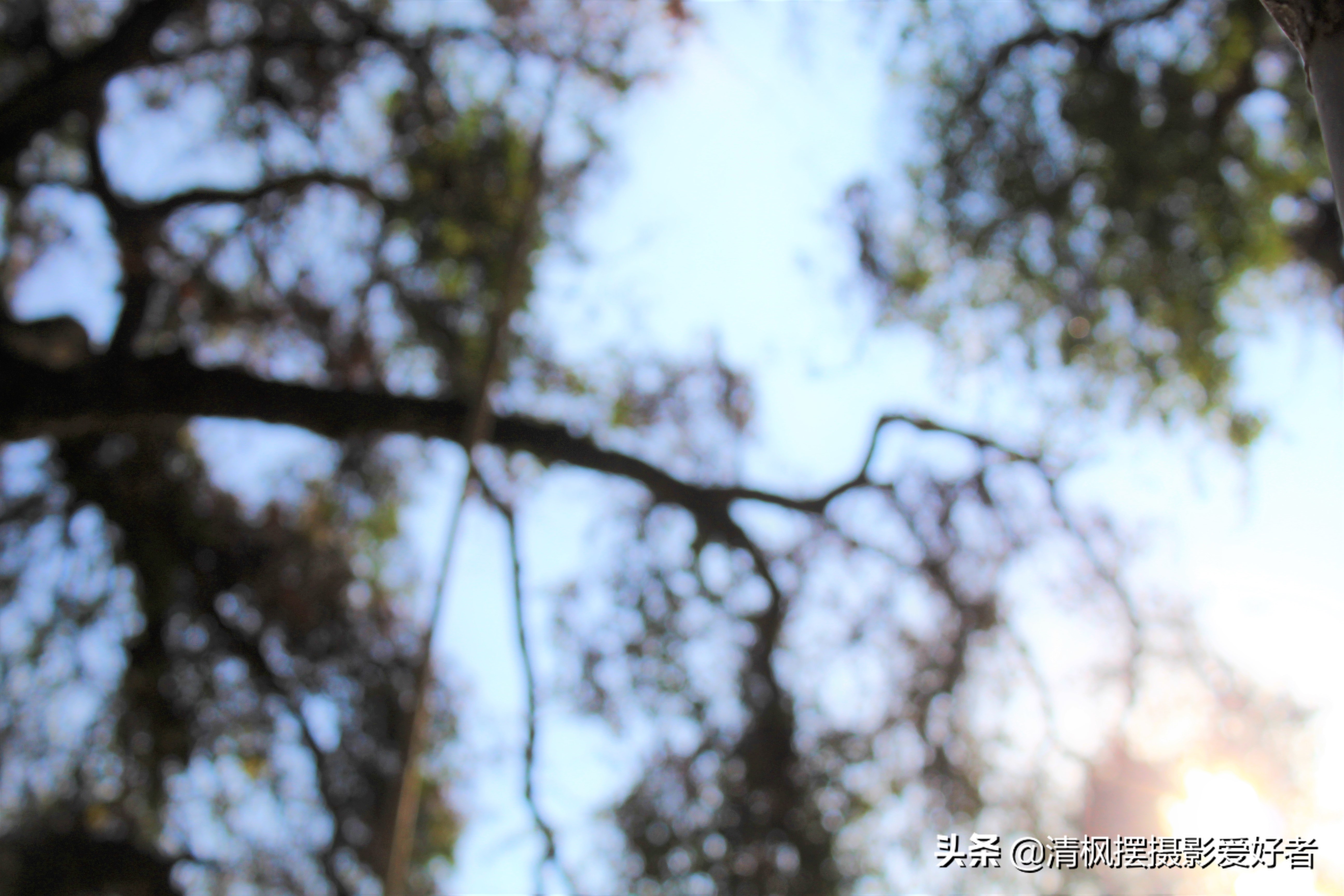 南宁最近的古城,南宁古城墙景区里面有什么