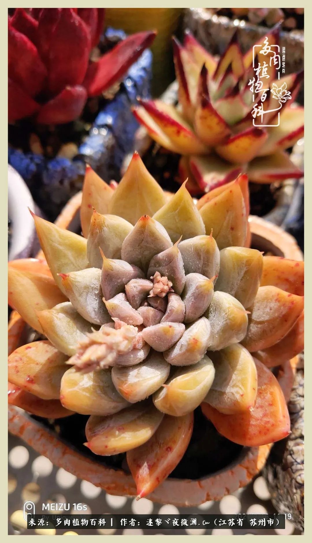 秋尽冬来岁月不居时节如流,岁月不居时节如流水