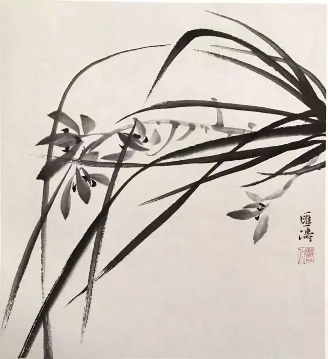 水墨怎么画兰花最好看,如何画兰花大全图片