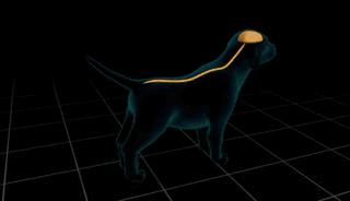 脊髓损伤将不再是不治之症,脊髓损伤手不能动能治愈吗