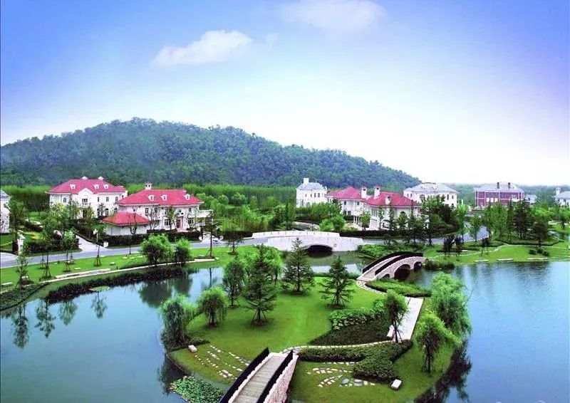 宅家50天我想明白了3件事,宅家40天提高家庭幸福感