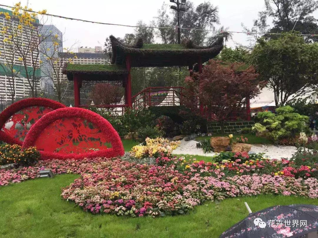 香港花卉艺术展,共赴盛会活动