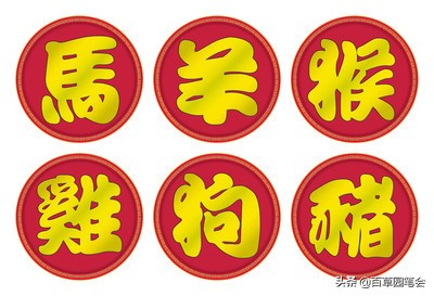 属羊的女人真的命不好吗,为什么都说属羊的女的不好