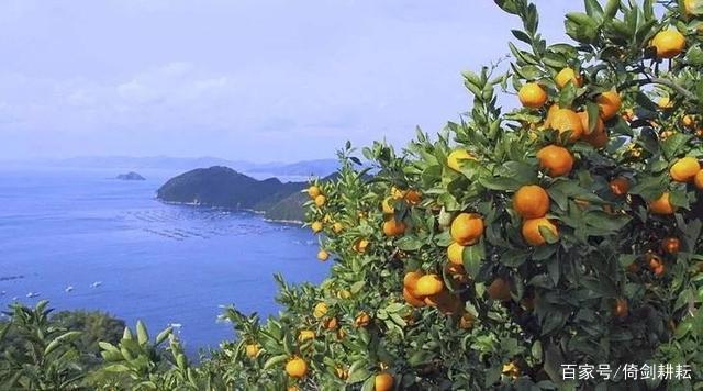 人少景美的长兴岛,长兴岛最好的景色