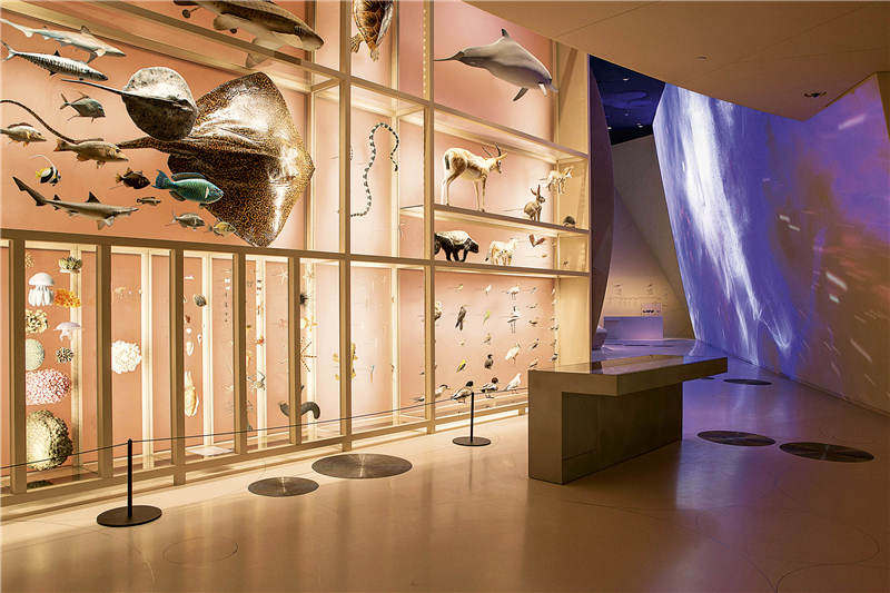 沙漠里的玫瑰全集,沙漠里的玫瑰