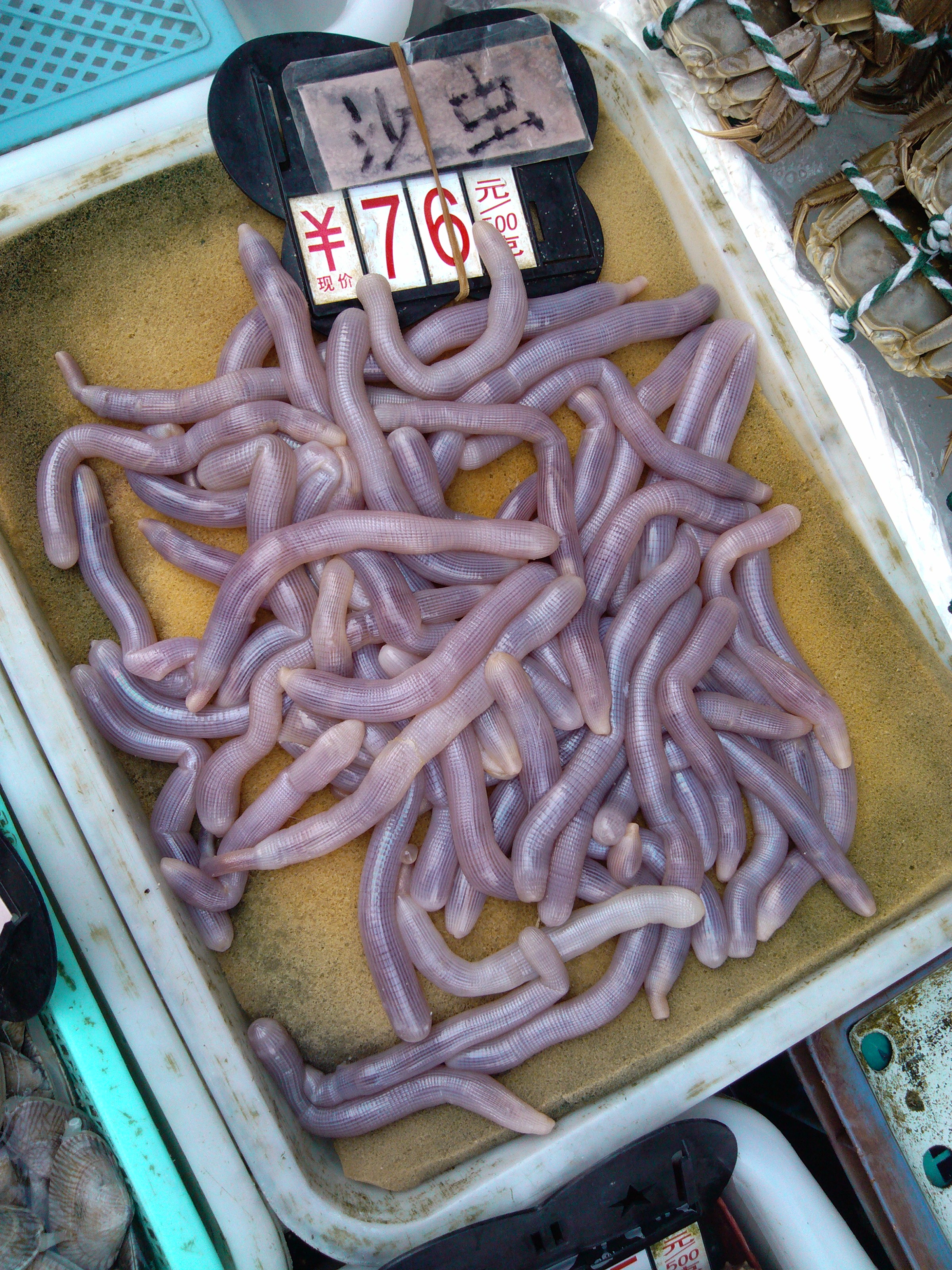 珠海石景山公园攻略,珠海澳门环岛游时间表