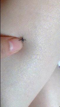 喜欢很久的小哥哥,喜欢了很久的小哥哥