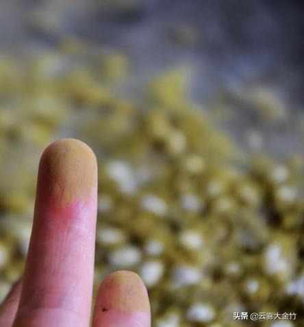 家庭自酿黄豆酱（酱油）-感受食品发酵的神奇