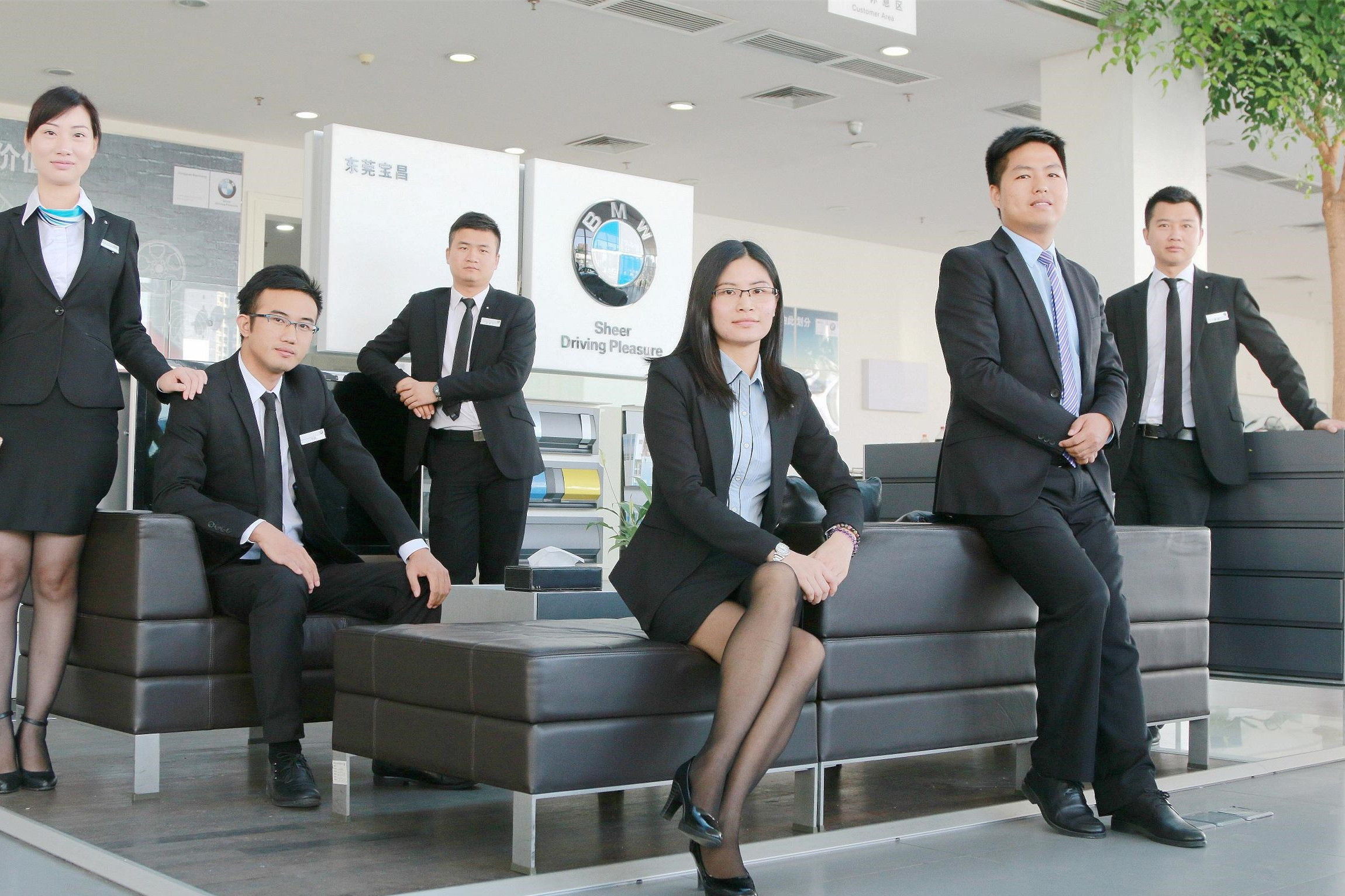 你听过哪些离谱的销售说辞,销售到底说了什么说辞